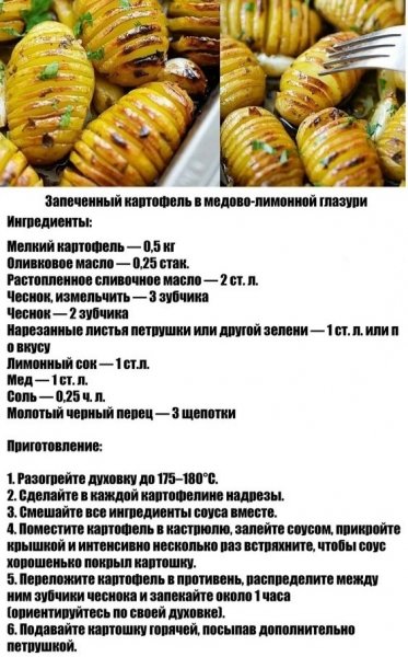 file_101732647
