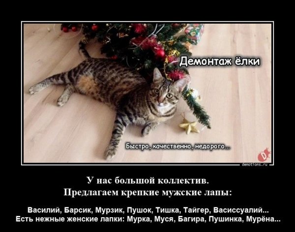 Демонтаж ёлок...