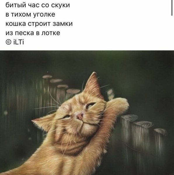 FB IMG 1777750397874