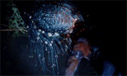 Хищник-гибрид