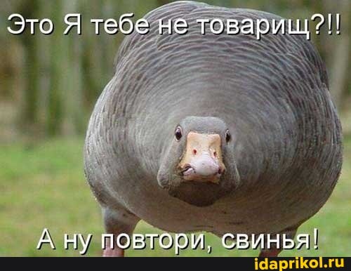 8b019318ae816b87812d69a5304e7a67cfdbe904b33334 1