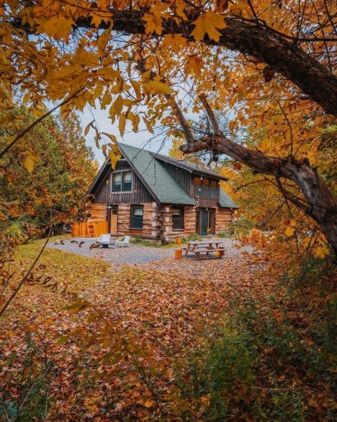 file_94668688