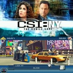 CSI New York 240x400 landscape