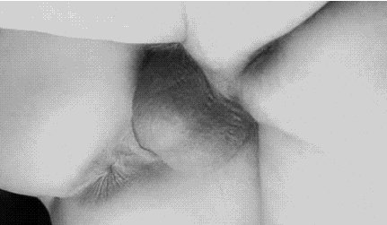 Большой член в тугую киску