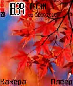 red-leaf