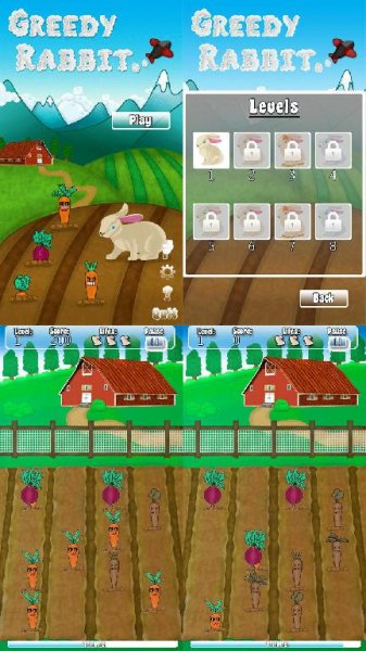 Greedy Rabbit S3-Belle