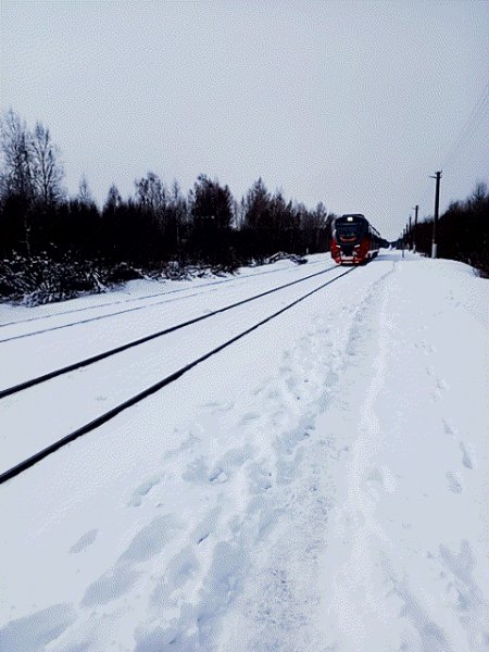 10 апреля 2025 года