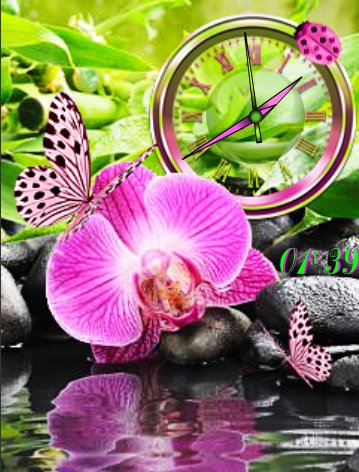 Орхидея над водой... (Melek)