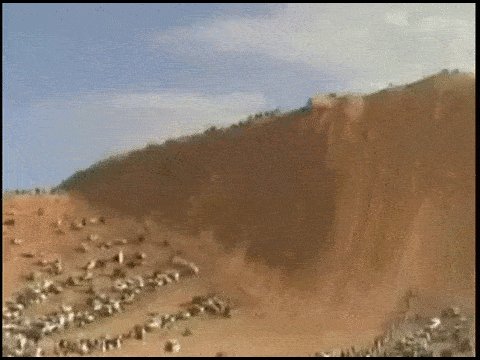 bdb970259d73850231e0c8df02b7fdd8225