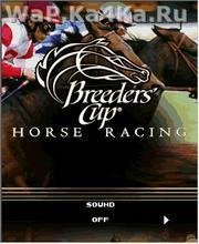 Breeders Cup Casino Horse Racing