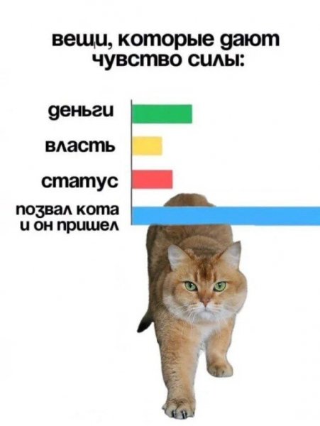IMG 20260227 222655
