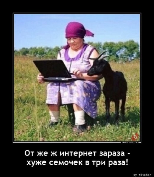 Вот же интернет зараза, хуже семечек в три раза...