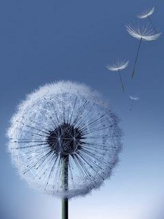 Samsung Galaxy S3
