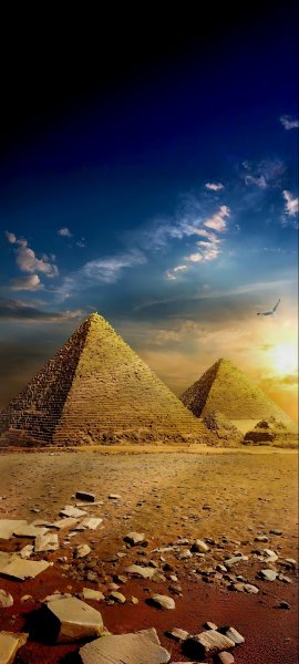 IMG 20260226 154949 490