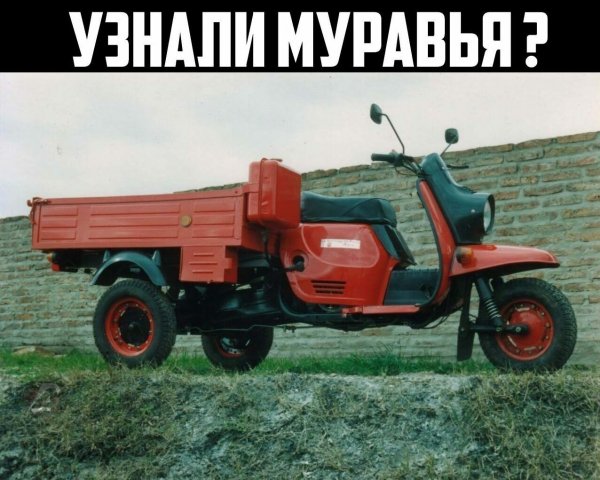 file_87959417