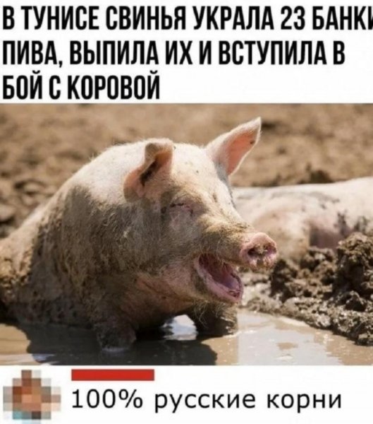 file_102573973