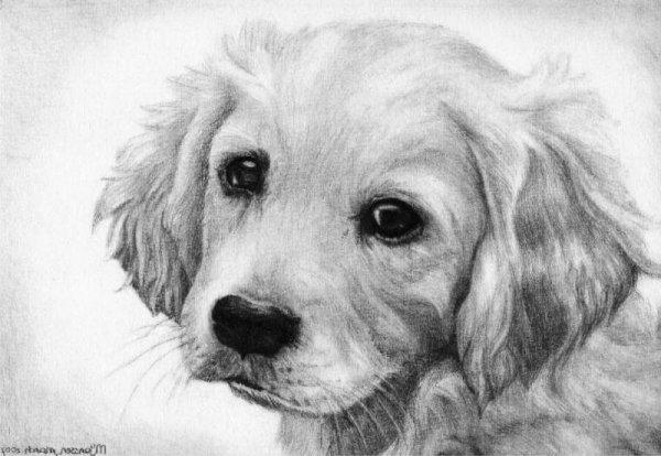 fe05514a8752f867470c1c76926b27b6