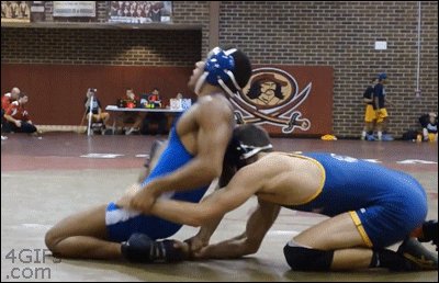 брацухи-бортухи-gif-борьба-песочница-762518