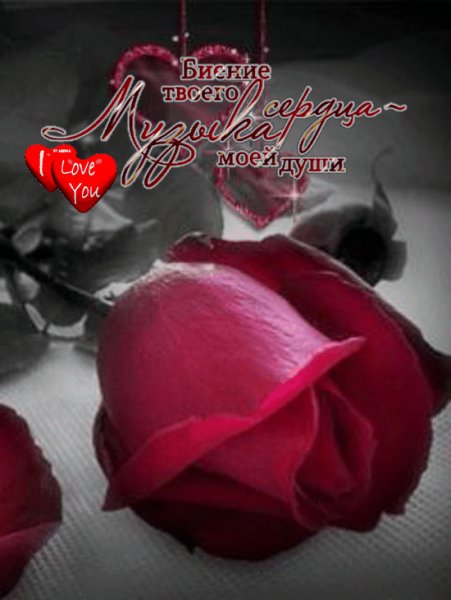 Биение твоего сердца.Роза и 2 сердца