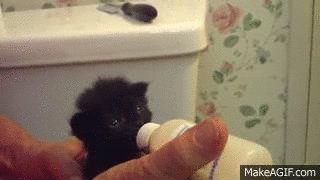 Мамы Нет, Но Есть Человек :3