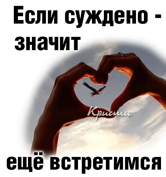 IMG 20210821 201812