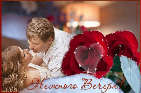 Нежного вечера!
