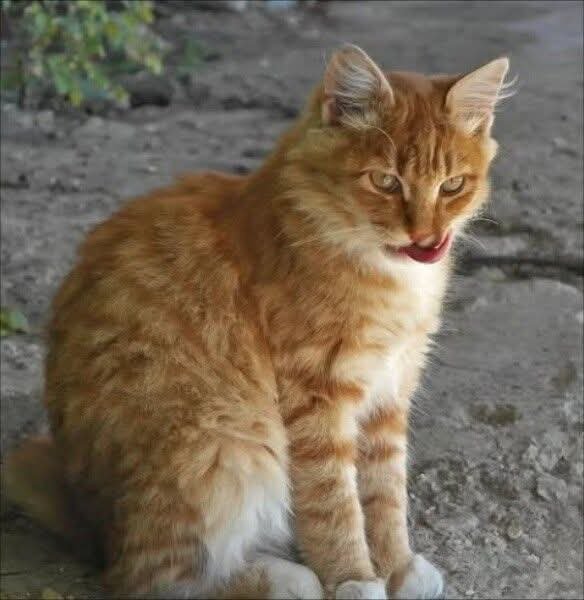 FB IMG 1774473169989