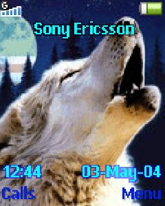 Волк Привет ворам