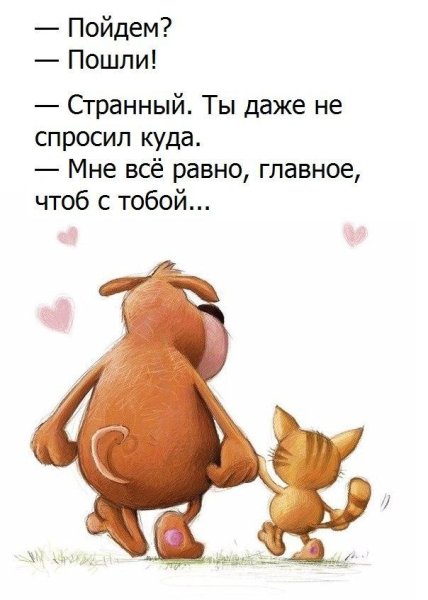 KYVkVkwA1u0