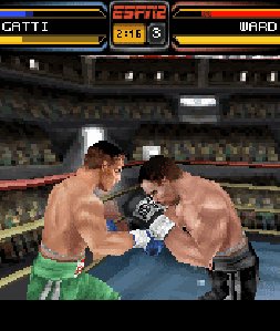 Fight Night Round 3 SE 176x220 RUS