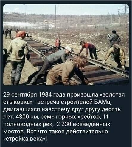 file_95486356