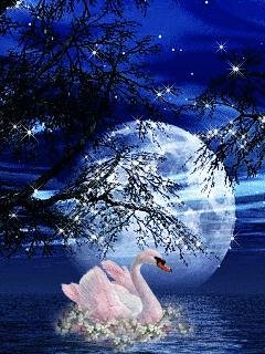 Белые лебеди