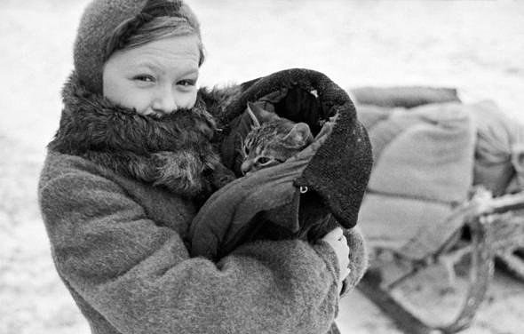 Рыжий кормилец( Не могла сдержать слез)