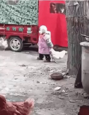 ))