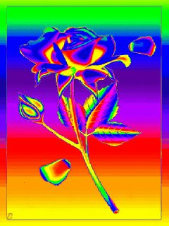 file_74140685