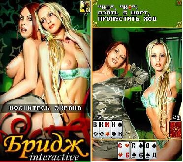 Bridge 1.00(0)S60v5th-Rus