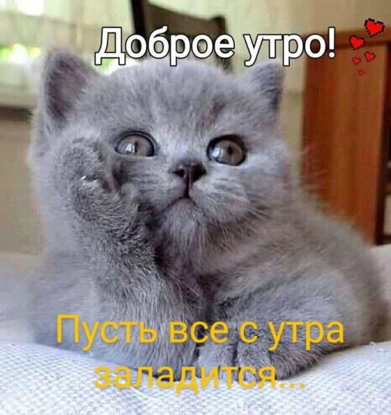 FB IMG 1773684622098