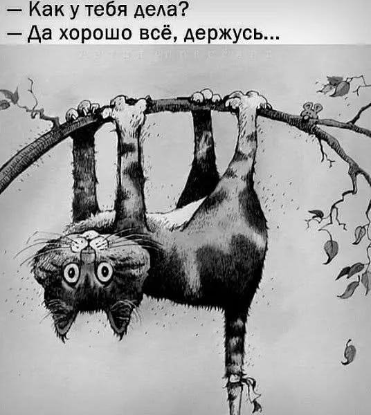 IMG 20260324 063744 082