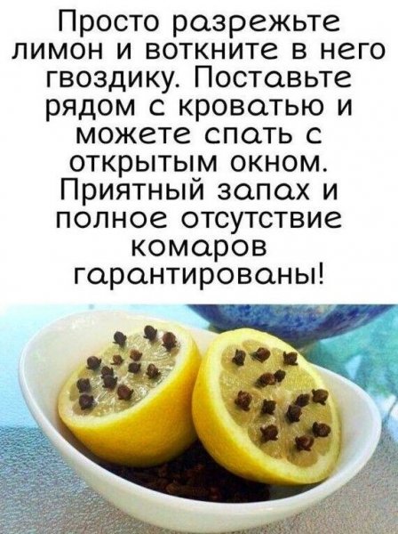 52d974f66140db64456a7c0b114e6fb2