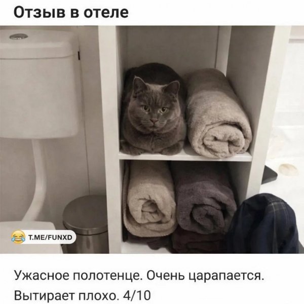 file_102506513