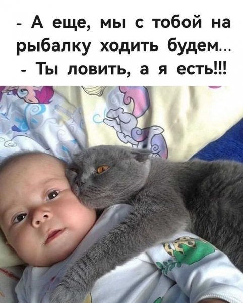 FB IMG 1774337339286