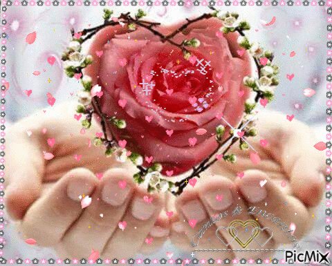 IMG 20171104 193341 18