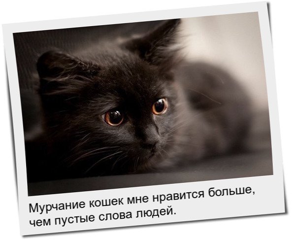 file_102295150
