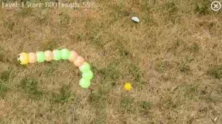 Snaketouch