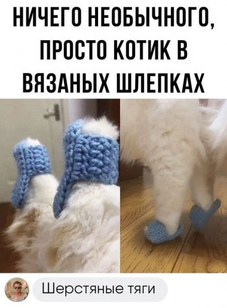 FB IMG 1773214068293