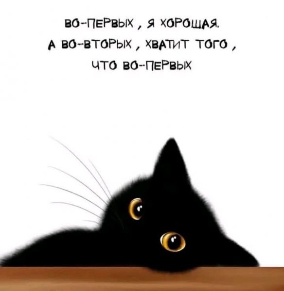 FB IMG 1773552324020