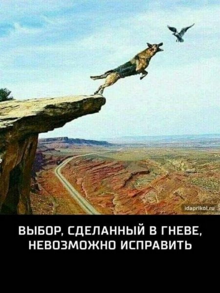 f1e3d86e1108398a09bde8e3542d6359