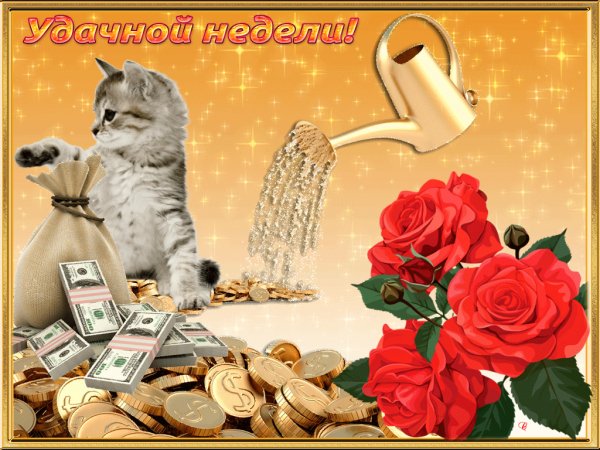 Удачной недели!