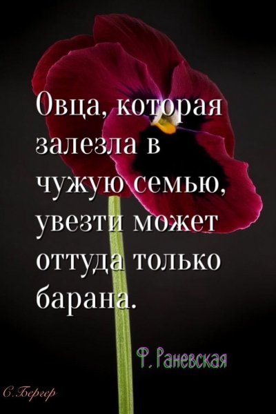 2a2612b6c111d2f37268ea37af8106ff