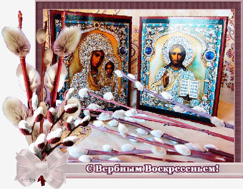 IMG 20170410 004556 6